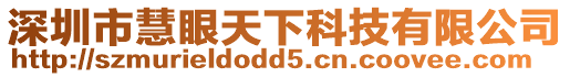 深圳市慧眼天下科技有限公司