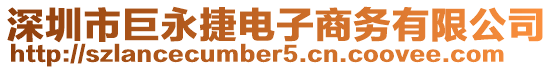 深圳市巨永捷電子商務(wù)有限公司