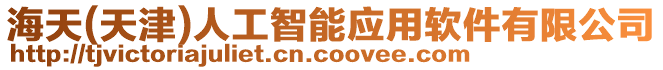 海天(天津)人工智能應用軟件有限公司