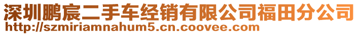 深圳鵬宸二手車經(jīng)銷有限公司福田分公司