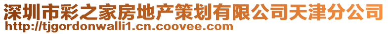 深圳市彩之家房地產策劃有限公司天津分公司