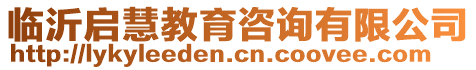 臨沂啟慧教育咨詢有限公司
