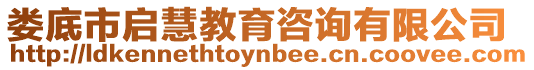 婁底市啟慧教育咨詢有限公司