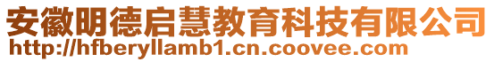 安徽明德啟慧教育科技有限公司