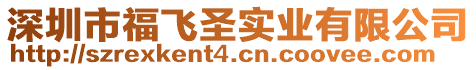 深圳市福飛圣實業有限公司