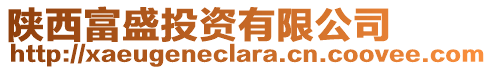 陜西富盛投資有限公司