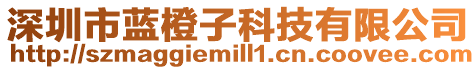 深圳市藍橙子科技有限公司
