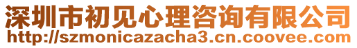 深圳市初見心理咨詢有限公司