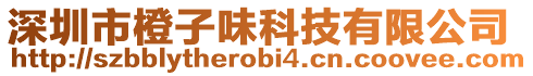 深圳市橙子味科技有限公司