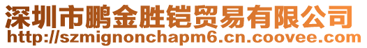 深圳市鵬金勝鎧貿易有限公司