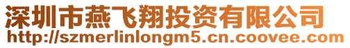 深圳市燕飛翔投資有限公司