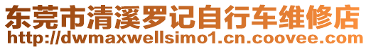 東莞市清溪羅記自行車維修店