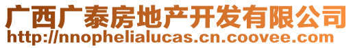 廣西廣泰房地產(chǎn)開發(fā)有限公司