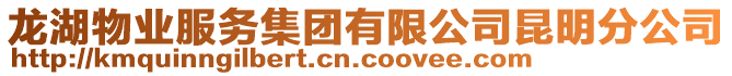 龍湖物業(yè)服務(wù)集團(tuán)有限公司昆明分公司