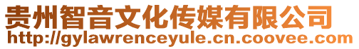 貴州智音文化傳媒有限公司