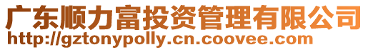 廣東順力富投資管理有限公司