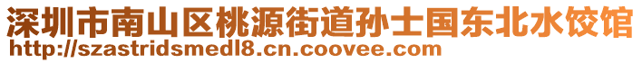 深圳市南山區(qū)桃源街道孫士國東北水餃館