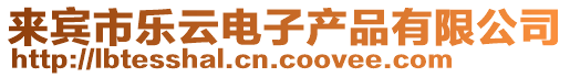 來賓市樂云電子產品有限公司