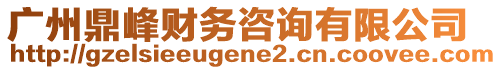 廣州鼎峰財務(wù)咨詢有限公司