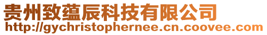 貴州致蘊辰科技有限公司