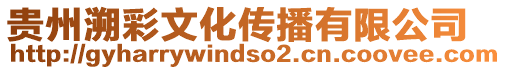 貴州溯彩文化傳播有限公司