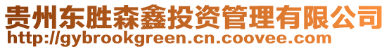 貴州東勝森鑫投資管理有限公司