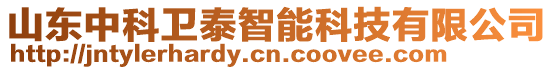 山東中科衛(wèi)泰智能科技有限公司