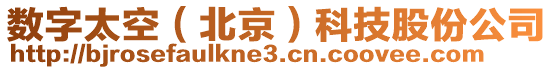 數字太空（北京）科技股份公司
