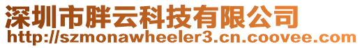 深圳市胖云科技有限公司