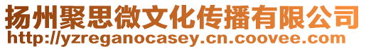 揚州聚思微文化傳播有限公司