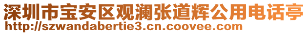 深圳市寶安區(qū)觀瀾張道輝公用電話亭