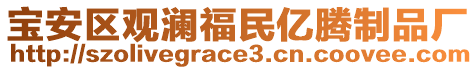 寶安區(qū)觀瀾福民億騰制品廠