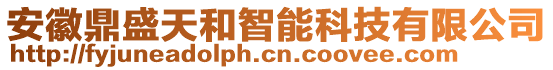 安徽鼎盛天和智能科技有限公司