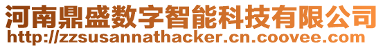 河南鼎盛數字智能科技有限公司