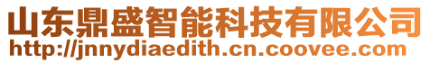山東鼎盛智能科技有限公司