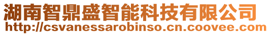 湖南智鼎盛智能科技有限公司