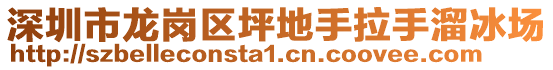 深圳市龍崗區坪地手拉手溜冰場