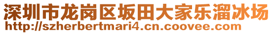 深圳市龍崗區坂田大家樂溜冰場