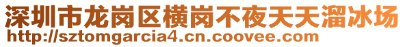 深圳市龍崗區(qū)橫崗不夜天天溜冰場