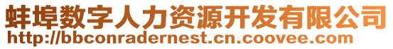 蚌埠數(shù)字人力資源開發(fā)有限公司