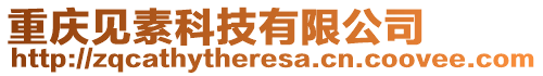 重慶見素科技有限公司