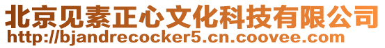 北京見素正心文化科技有限公司