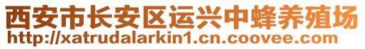 西安市長安區運興中蜂養殖場