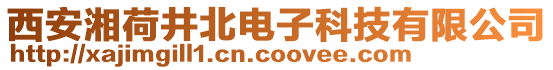 西安湘荷井北電子科技有限公司