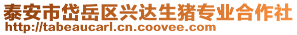 泰安市岱岳區(qū)興達生豬專業(yè)合作社