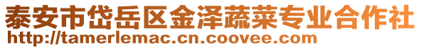 泰安市岱岳區金澤蔬菜專業合作社