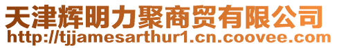 天津輝明力聚商貿(mào)有限公司