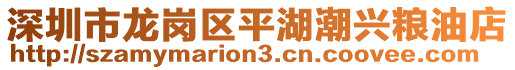 深圳市龍崗區(qū)平湖潮興糧油店