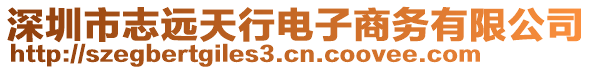 深圳市志遠(yuǎn)天行電子商務(wù)有限公司
