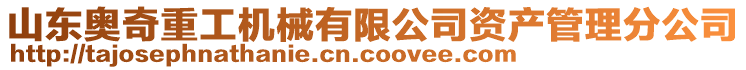 山東奧奇重工機械有限公司資產(chǎn)管理分公司